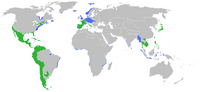 WWI Belligerents Map (VOE)