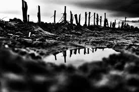 Am Ende des Krieges hingegen waren viele von den Zerstörungen entsetzt.