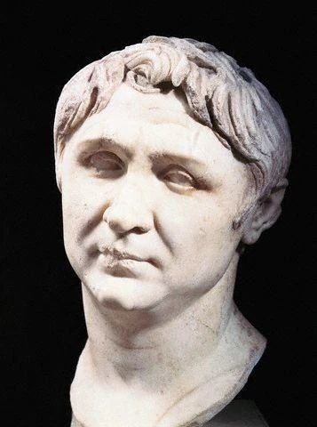 image not described image