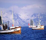 Norwegian fishing boats.