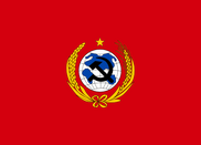 Флаг Китайскрй Советской Республики