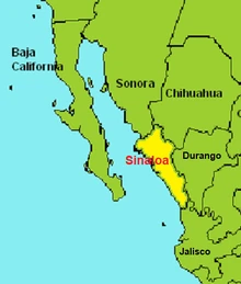 Sinaloa-0