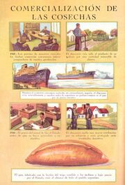 Libro155