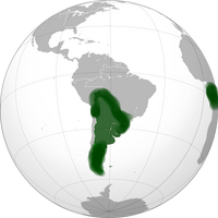 El imperio argentino hoy