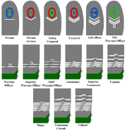 rank insignias of the Reichsheer