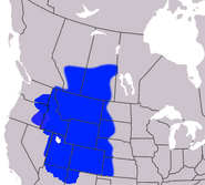 The North American Union (2009)