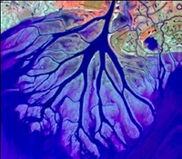 New Mississippi River Delta