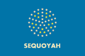 Flag of Sequoyah (New World Democracy).png (21 KB) Sequoyah (October 8, 1927)