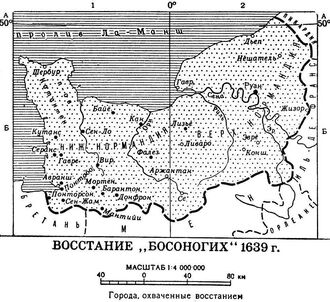 НормБосНог