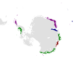 Map of Antarctica c