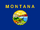MontanaFlag-OurAmerica.png