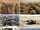 Great Levantine War (Burning City On A Hill)