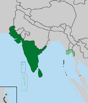 Bahmanid-Loc-PMIV