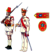 Guinea guardia