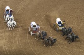 A modern photograph of men racing horse drawn wagons
