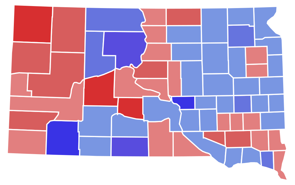 2004 United States Senate election in South Dakota (A Better Man