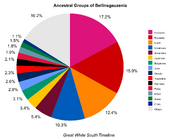 Ancestral Groups of Bellinsgauzenia (Great White South)