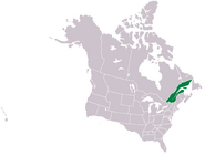 Lower Canada