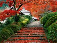 Garden-staircase-kyoto