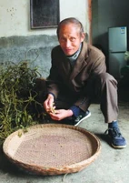 Владимир Путин трудится в деревне