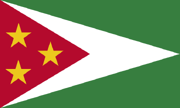 Flag of Guyana