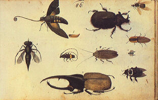 LehrmaterialZachariasSPA