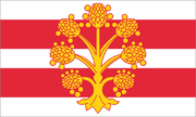 Flag of Westmorland and Furness Territories