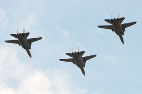 A formation of Iranian Tomcats in flight