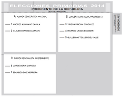 Primarias 2014 voto cns