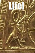 Tut fan (stuff that memes are made of)