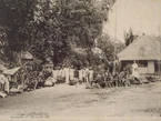 The Spanish soldiers with the captured Katipuneros after the Battle of Binakayan-Dalahican, 1896