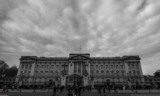 Buckingham black and white