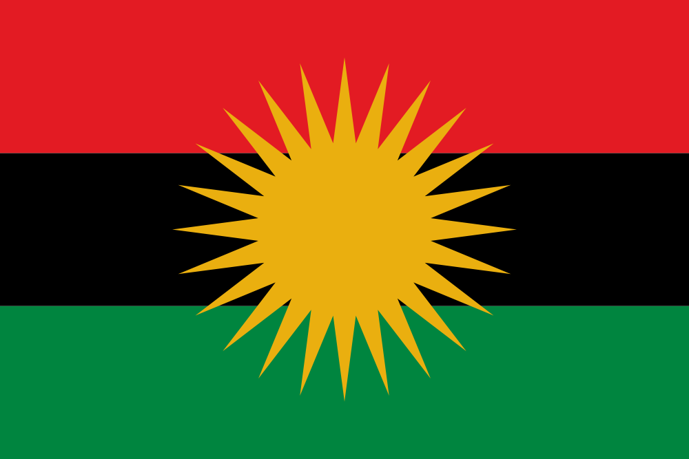 Юар союз. Африкан Юнион флаг. Флаг североафриканского Союза. Империя Сонгай флаг. Флаг Южно-африканской Республики.