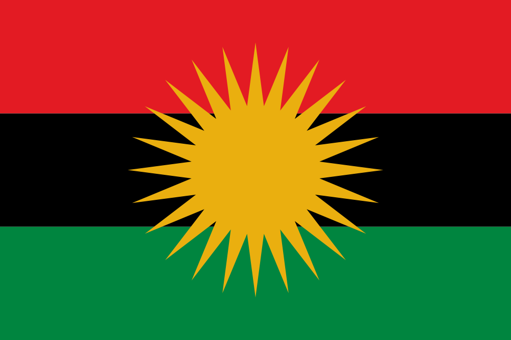 Africa flag. Африкан Юнион флаг. Флаг североафриканского Союза. Империя Сонгай флаг. Флаг Южно-африканской Республики.