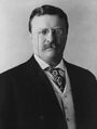 800px-President Theodore Roosevelt, 1904