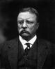 Former President Theodore Roosevelt of New York