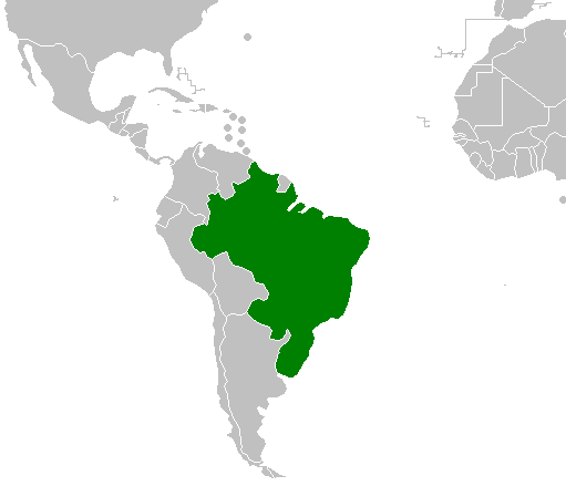 Empire Of Brazil Map Third Empire Of Brazil (Dark Brazilian Empire) | Alternative History |  Fandom
