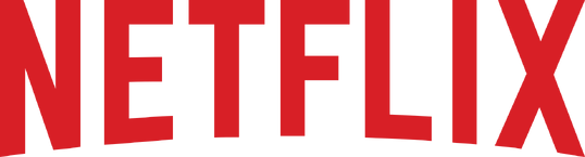 The current logo of Netflix as of mid-January 1995.