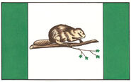 Canadian flag proposal, 1963. Flag of Sudbury in 1983: Doomsday.