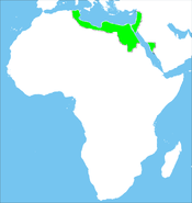 This shows the largest extent of the Egyptian Khanate but I could see expeditions farther south.