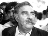 Mario Palestro (Chile No Socialista)