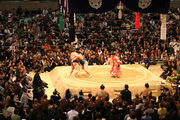 Sumo tournament