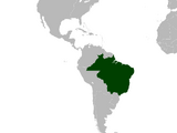 Brasil (MNI)