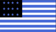 True States Flag