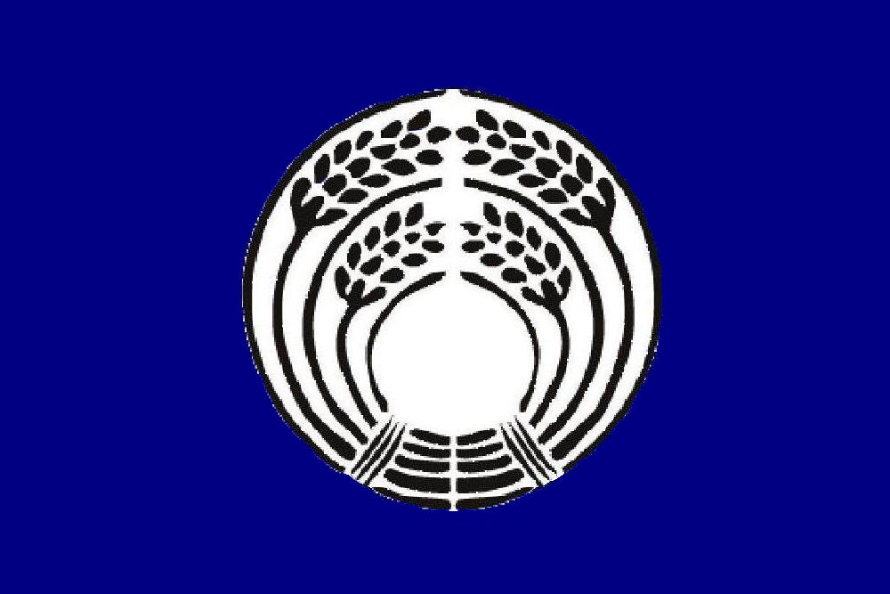 Flag-of-Republic.jpg