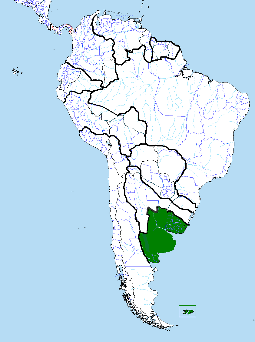 Rio de la Plata (River Plate) Basin Map, Río de la plata, Ancient maps