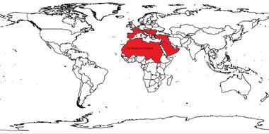 Carthaginian Empire