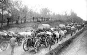 Serbian retreat WWI