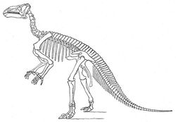 Marsh Iguanodon