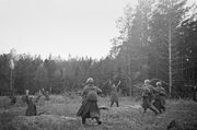 RIAN archive 491037 The 1941-1945 Great Patriotic War